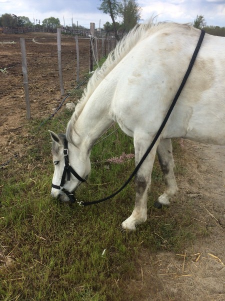 Photo de profil de leonor16