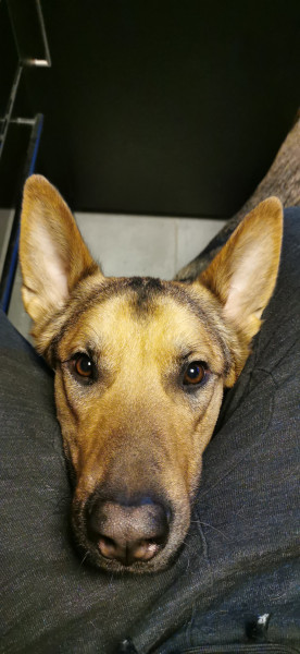 Photo de profil de sebsv650
