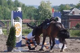 Photo de profil de opsehorse