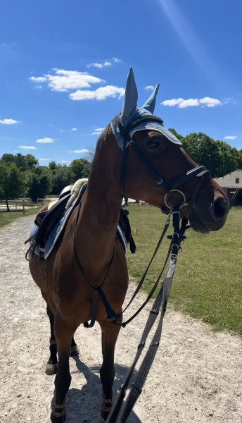 Photo de profil de els.60