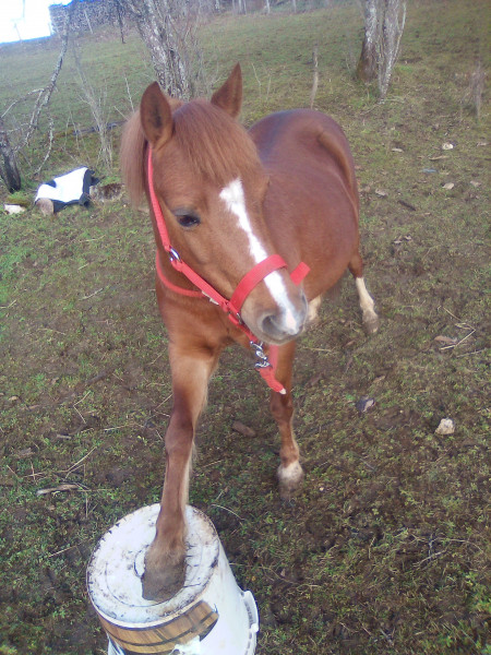 Photo de profil de lexan