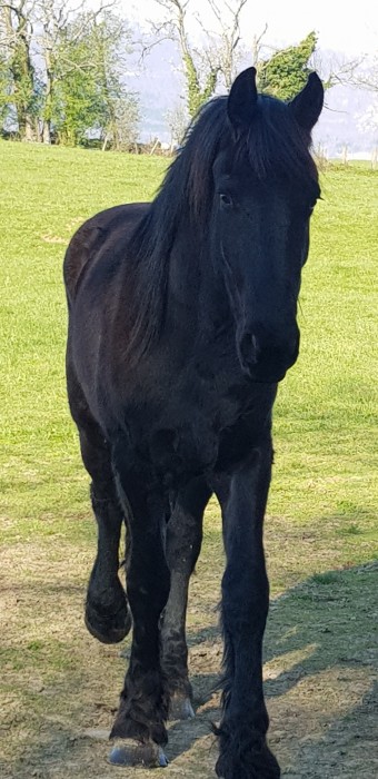 Photo de profil de frisson38130