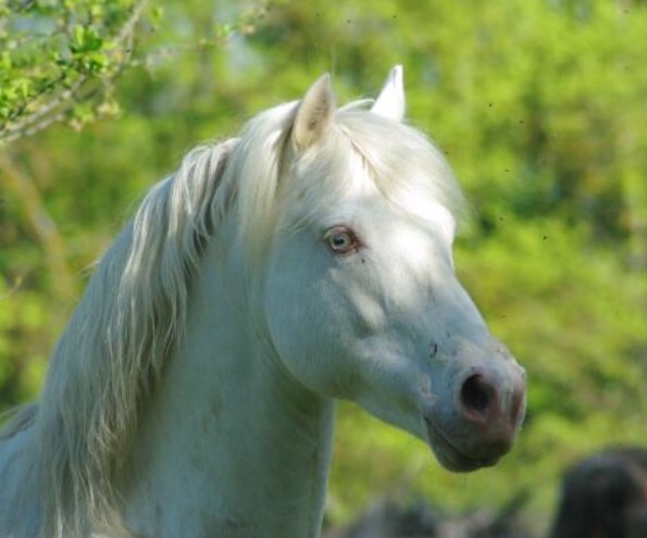 Photo de profil de opale12