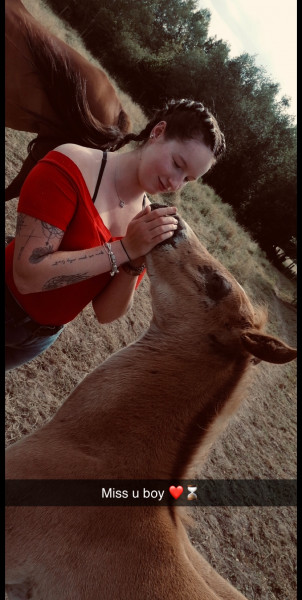 Photo de profil de alison_m