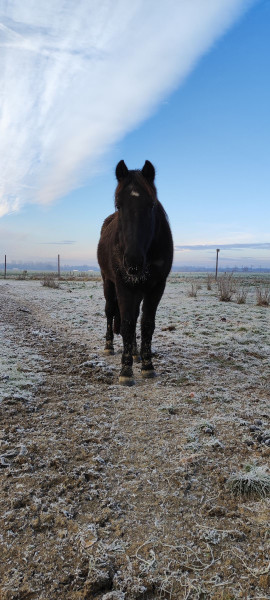 Photo de profil de margotmrs