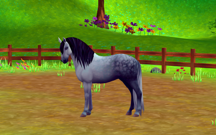 Photo de profil de equine390