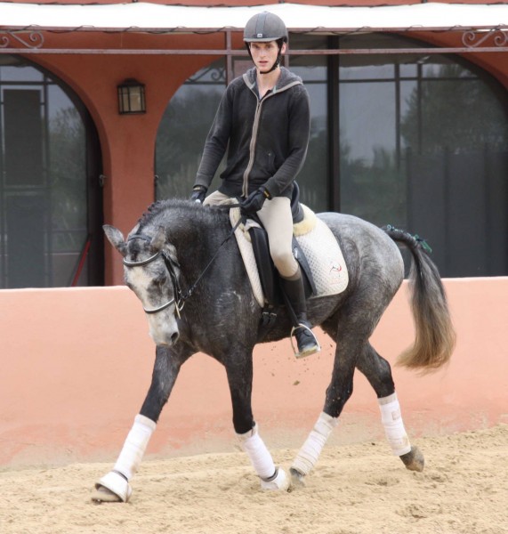 Photo de profil de adriengtr