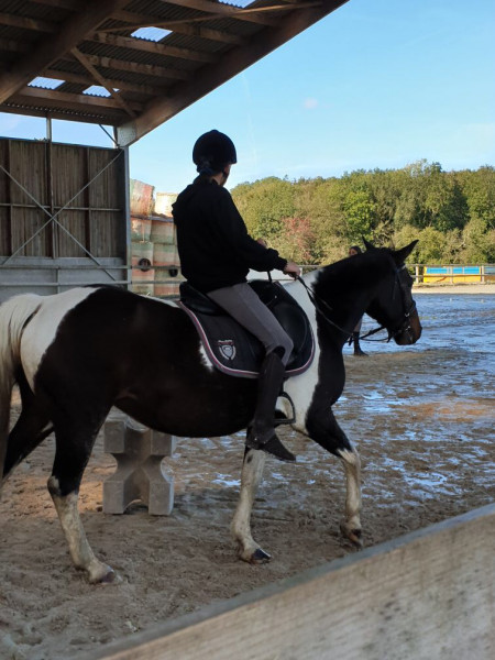 Photo de profil de lea.and.horse