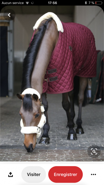 Photo de profil de cosmosquenotte