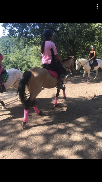 Photo de profil de lea.sauvagee