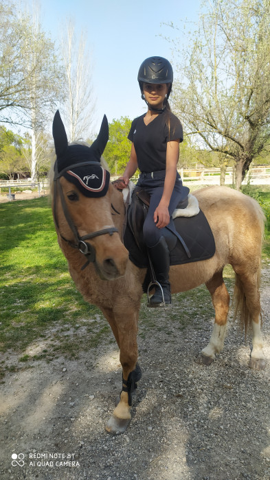 Photo de profil de horsepassionl