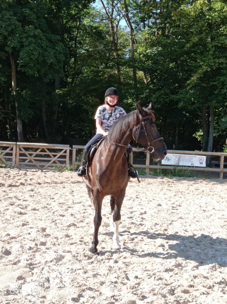 Photo de profil de cocoetsusu