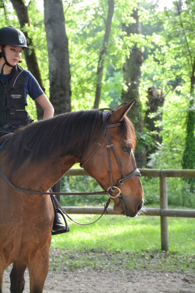 Photo de profil de leahavecunh