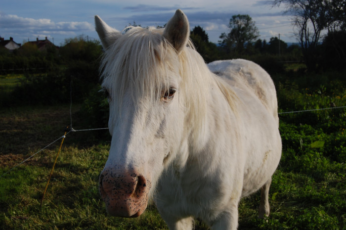 Photo de profil de l.l05