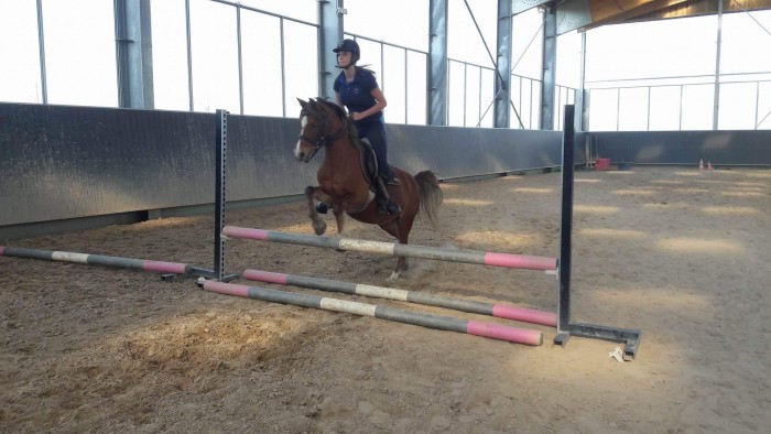 Photo de profil de horse.passion69