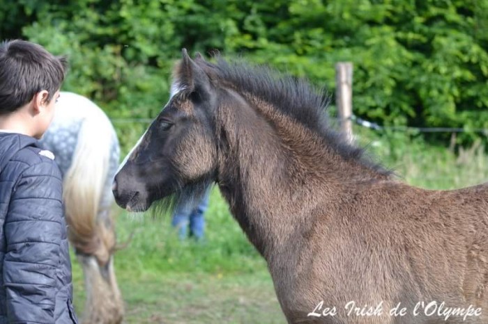 Photo de profil de foxycia