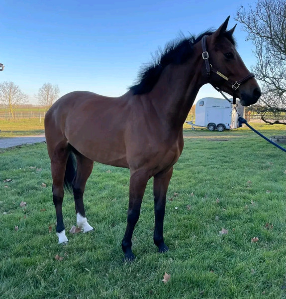 Photo de profil de mustang12