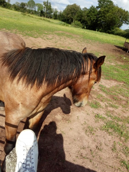 Photo de profil de chacha18040418