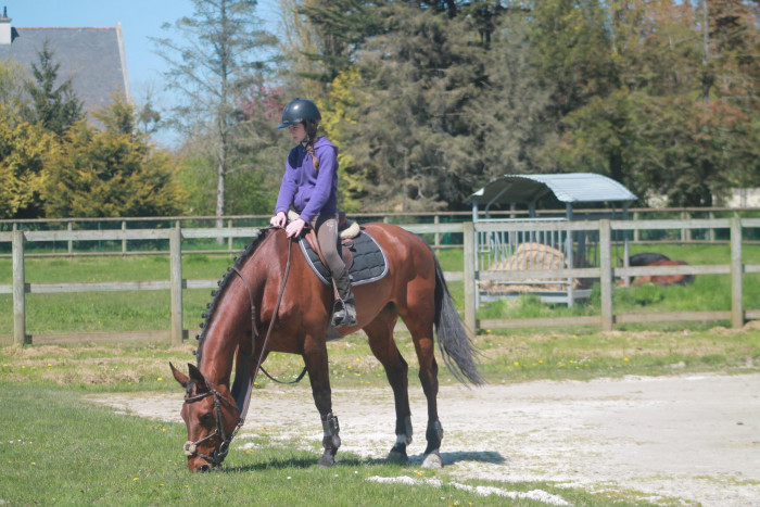 Photo de profil de charliefch