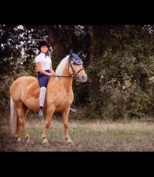 Photo de profil de hina.cavaliere