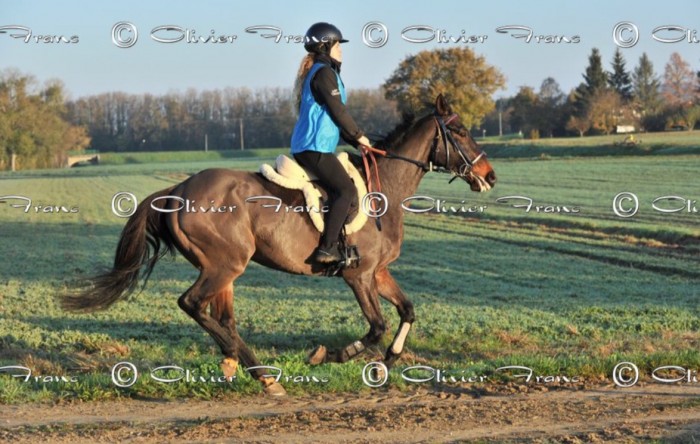 Photo de profil de lelou82