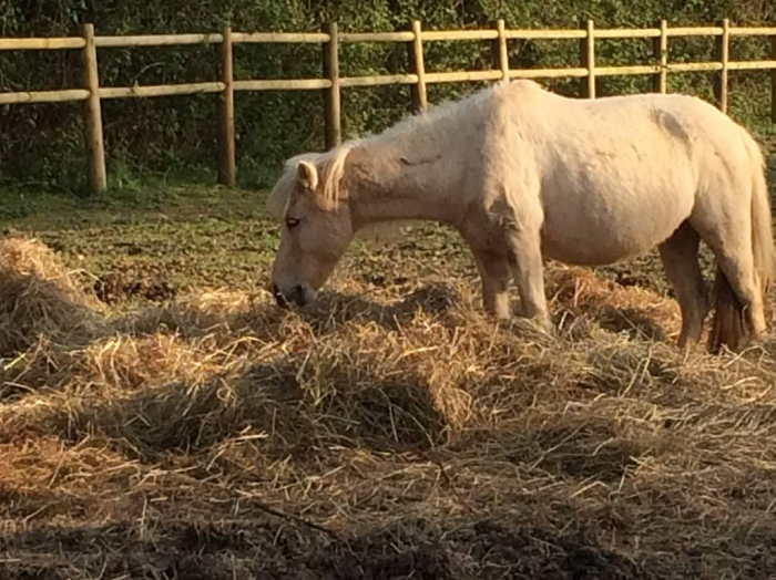 Photo de profil de barbietiburce