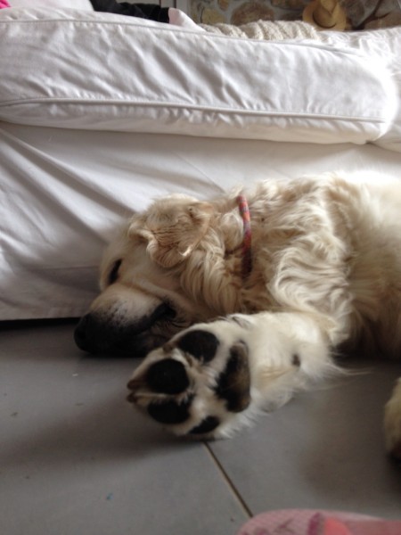 Photo de profil de phenix1901