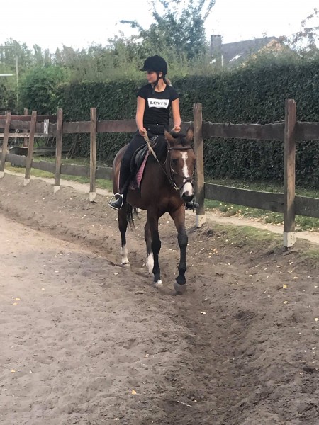Photo de profil de solicorne164