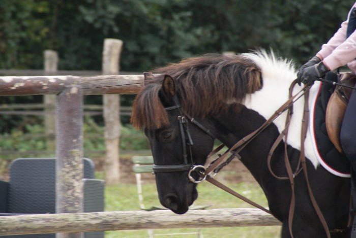 Photo de profil de anne.r