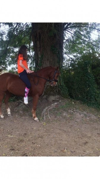 Photo de profil de clara_nde