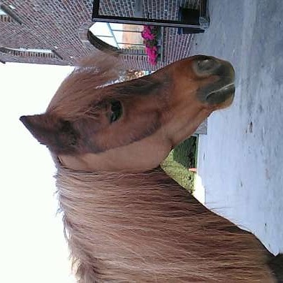 Photo de profil de clemence_zarah