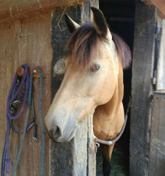 Photo de profil de queilla2411