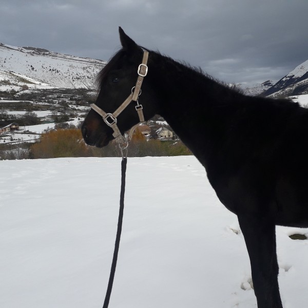 Photo de profil de indra2019