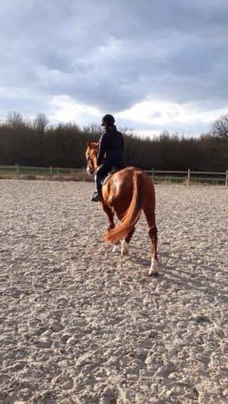 Photo de profil de oceane.lgrs