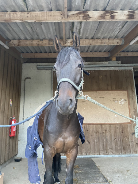 Photo de profil de agathe.bsl