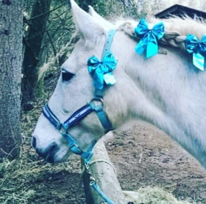 Photo de profil de leane7473