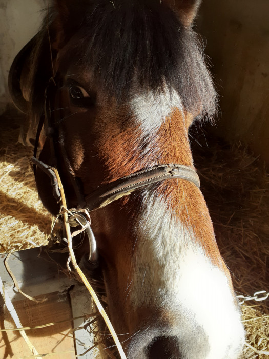 Photo de profil de morganehappy