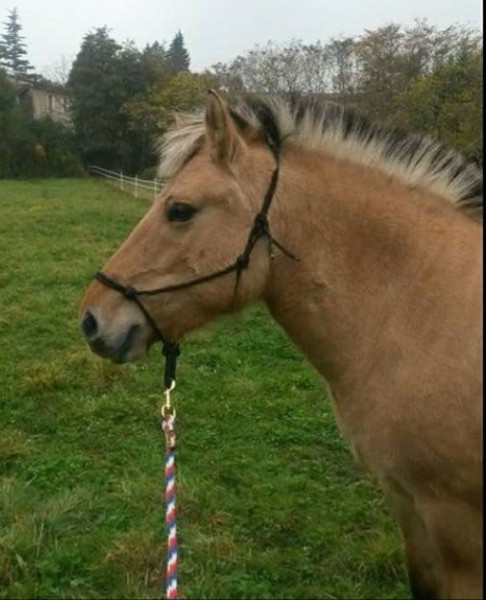 Photo de profil de nolane77