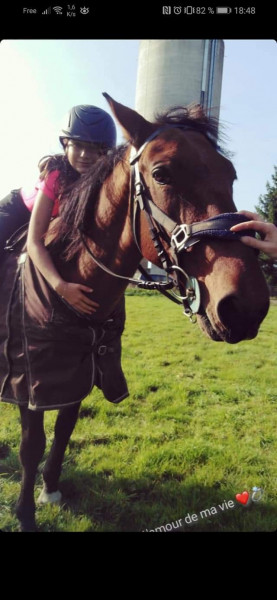 Photo de profil de khristen