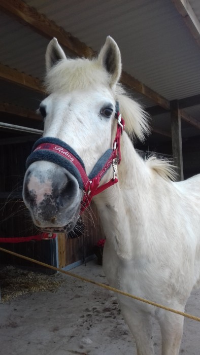 Photo de profil de pimprenelle1403