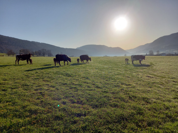 Photo de profil de pit2605