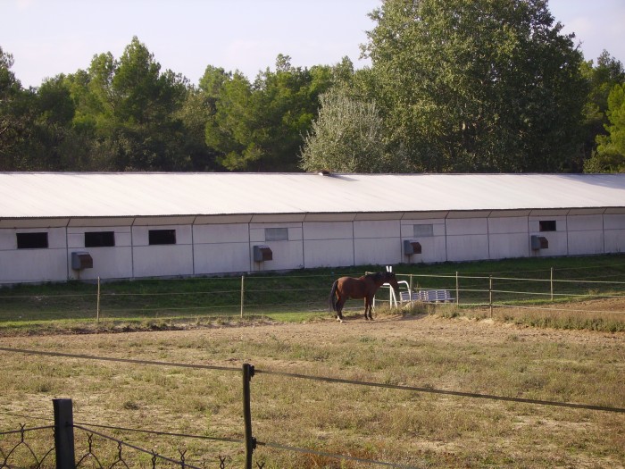 Photo de profil de planousset