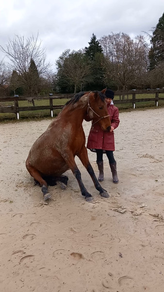 Photo de profil de p.lejeune
