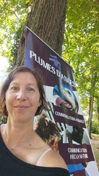 Photo de profil de plumesdanges