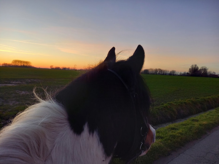Photo de profil de pokcam