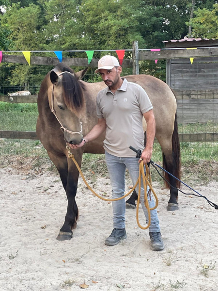 Photo de profil de polock