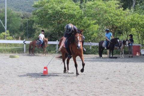 Photo de profil de pomme11