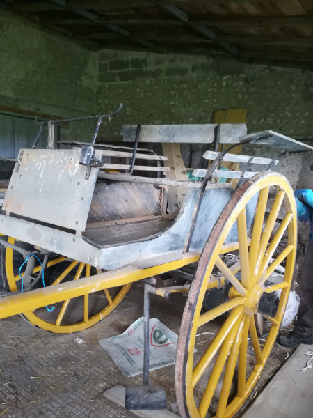 Photo de profil de pompon16