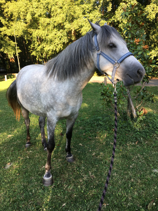 Photo de profil de ponette_03