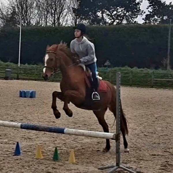 Photo de profil de ponyny